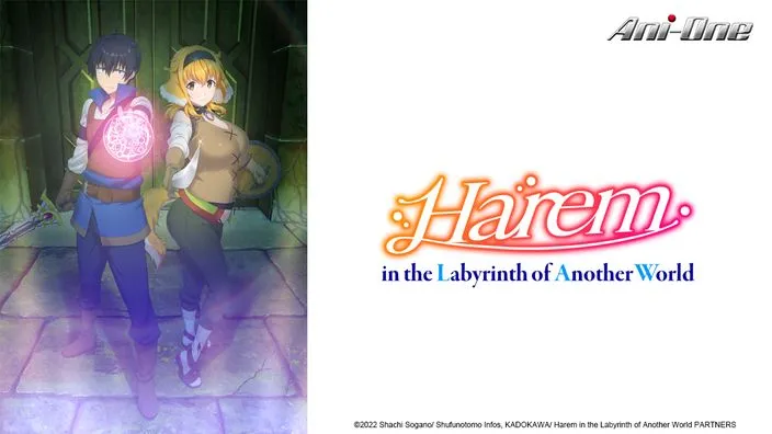 Harem in the labyrinth of another world