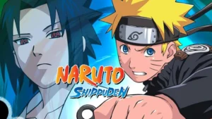 Naruto shippuden hindi subbed