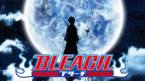 Bleach