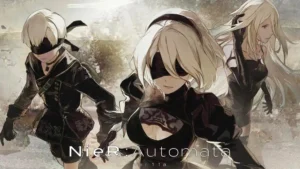 Nierautomata ver11a