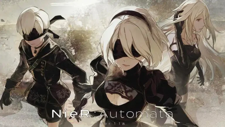 Nierautomata ver11a
